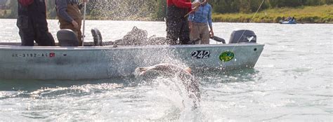 Soldotna Alaska Fishing | Kenai River Halibut Fishing