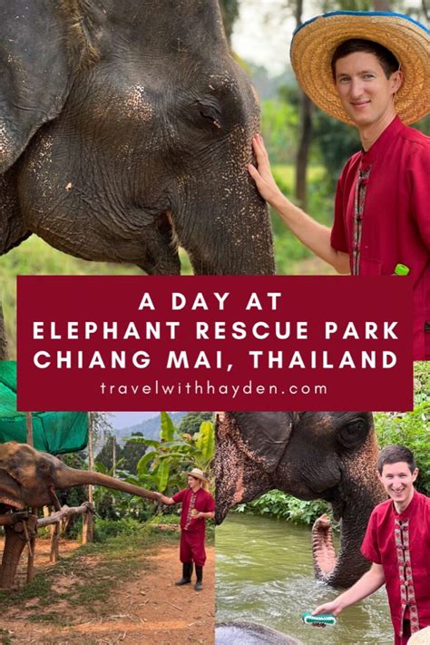 Elephant Sanctuary in Chiang Mai Visit-The Ultimate Guide