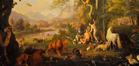 What does the Bible actually say about Adam and Eve? | Faraday