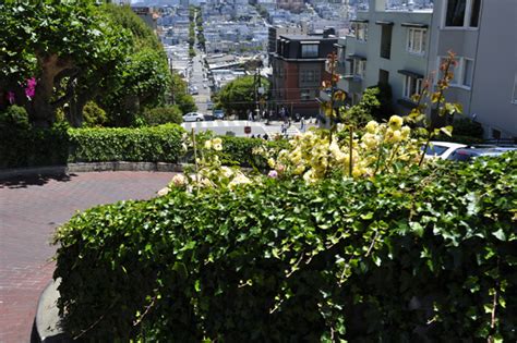 The famous zig-zag street in San Francisco, California