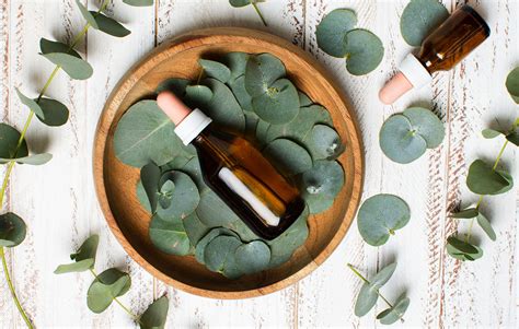 From Tree to Radiant Skin—8 Eucalyptus Oil Benefits