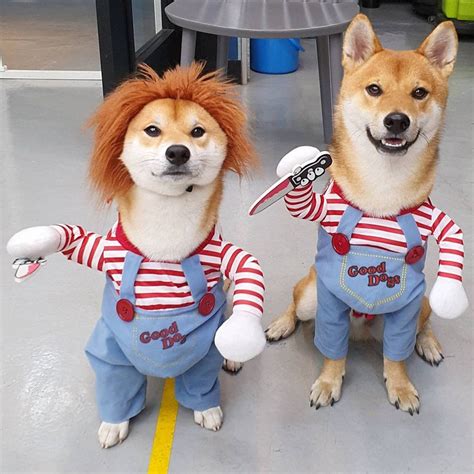 Shiba Inu Halloween Costume - Happy Shibas™