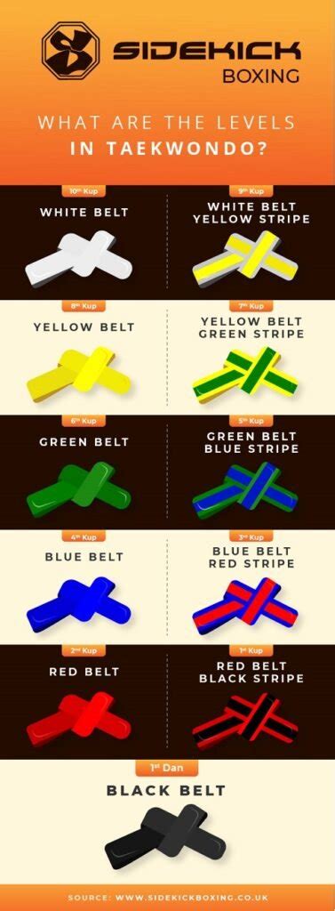 What Are The Levels In Taekwondo? - Sidekick Boxing