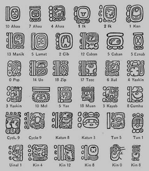 Maya Hieroglyphics en 2020 | Symboles mayas, Glyphe, Tatouage de papillon