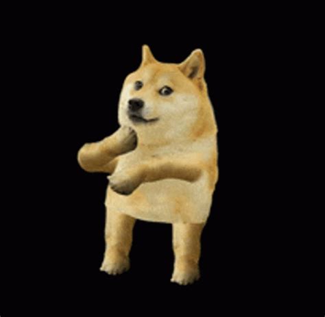 Corgie Dancing Dog GIF | GIFDB.com