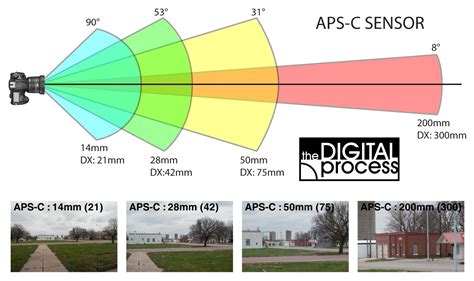 Learn About Camera Lenses - A Guide