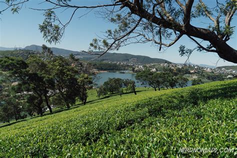 The Heart Of British Ceylon - Nuwara Eliya, Sri Lanka - Nerd Nomads