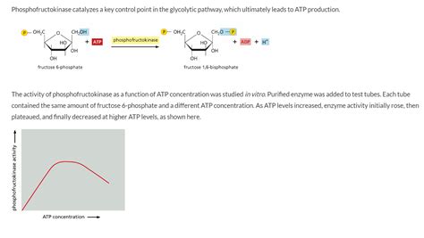 Solved Phosphofructokinase catalyzes a key control point in | Chegg.com