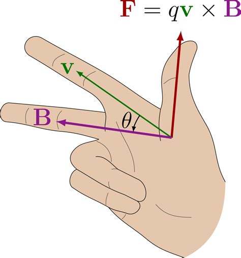 Unit 5 - Right Hand Rule Diagram | Quizlet