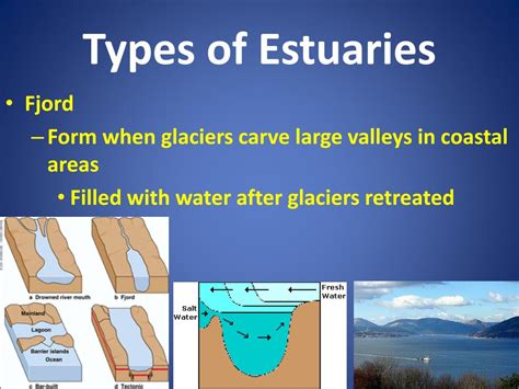 Estuary Formation Diagram