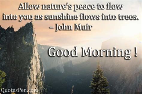 Best Good Morning Nature Quotes with Images | QuotesPen