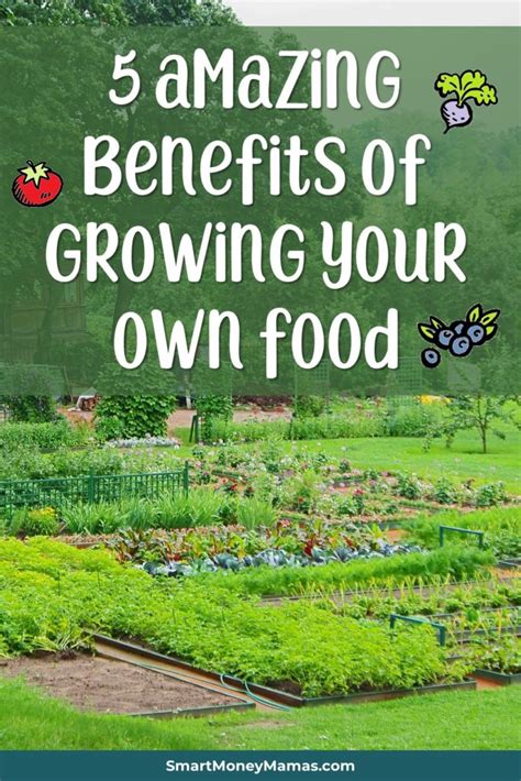 5 Benefits of Growing Your Own Food - Smart Money Mamas