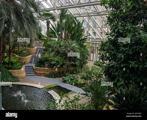 Tropical gardens under glass, part of the Bannatyne Health Club and Spa ...