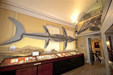 Lyme Regis Museum - Dorset Attractions - WDLH