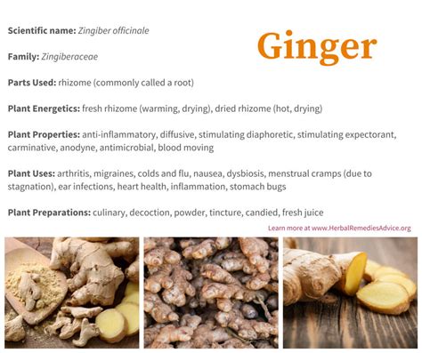 Health Benefits of Ginger