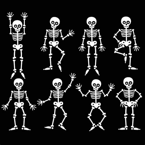 Halloween Skeleton - Digital Clipart & Vector Set - Instant Download ...