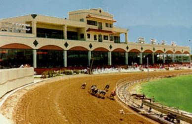 Greyhound Racing Real dog racing tracks