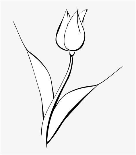 White Tulip Clip Art Noelle Nichols - Black And White Tulip Art ...