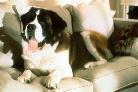 Beethoven | Top 10 Dog Movies | TIME.com