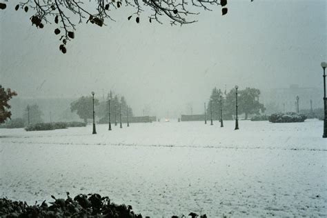 Winter in Saint Petersburg - Winter Photo (645285) - Fanpop