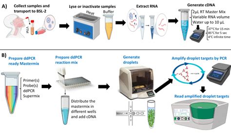 A Multiplexed, Paired-pooled Droplet Digital PCR Assay For, 60% OFF