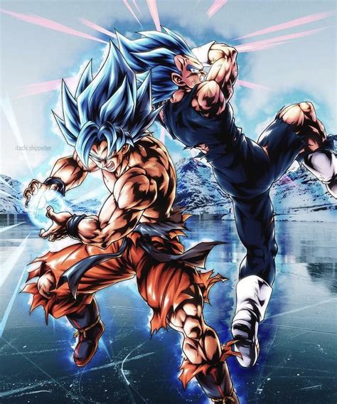 Super Saiyan Blue Goku & Vegeta : r/Dragonballsuper