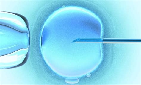 Frozen Embryo Transfer Tips: Facts On Frozen Vs Fresh Embryo Transfer