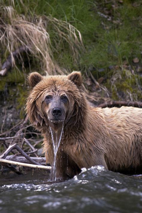 Major Parks & Forests on Alaska's Kenai Peninsula