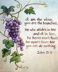 59 I am the vine, you are the branches ideas | john 15 5, vines, true vine