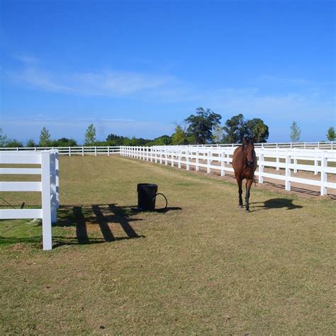 Hot Sale 3 Rail PVC Horse Fence White Vinyl Horse Fence - Vinyl Fence ...