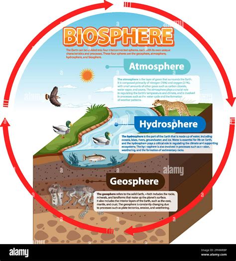 Earths Biosphere Diagram