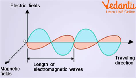 Types of Electromagnetic Waves - Learn Definition, Examples, Facts, Use ...