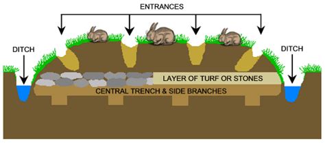 Pillow Mounds/Rabbit Islands - An Ancient Form of Rabbit Keeping ...