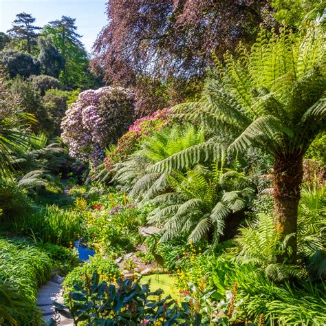 Trebah Garden - The Great Gardens of Cornwall