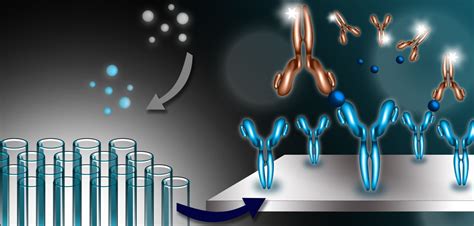 Parallelism experiments to evaluate matrix effects, selectivity and ...