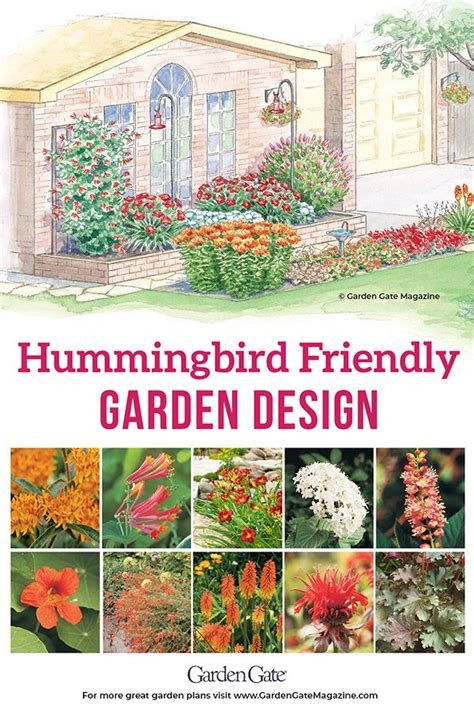 Hummingbird Garden Design Plans - Image to u