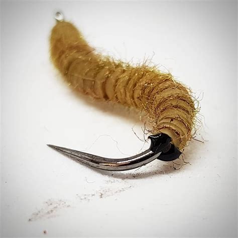 Large, Larger, Larvae... 3cm Crane Fly larvae. | Pêche, Peche a la ...