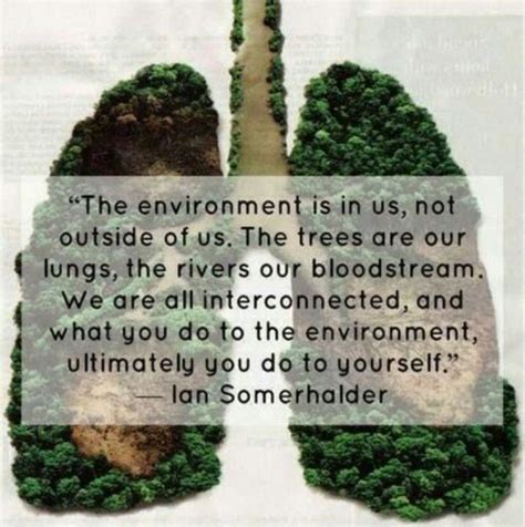 Inspirational Environment Quotes To Create Global Awareness