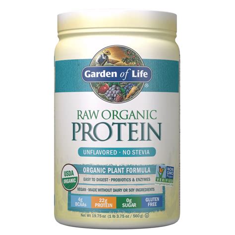 5 Best Vegan Protein Powders for 2020 - Foodzie