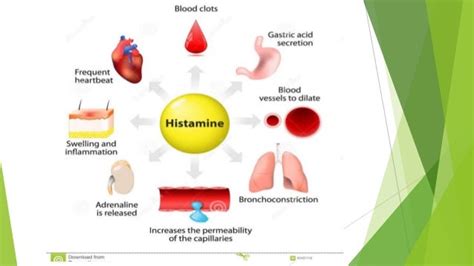 H1 & h2 receptor blockers