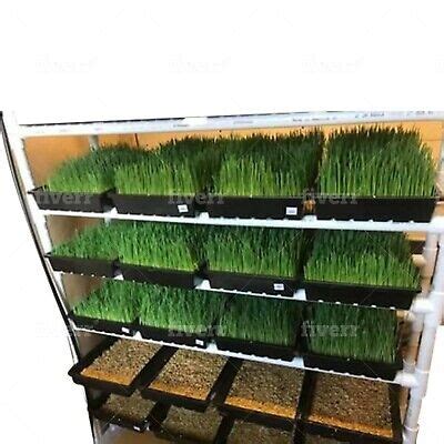 24 Tray Fodder Feeding System | eBay