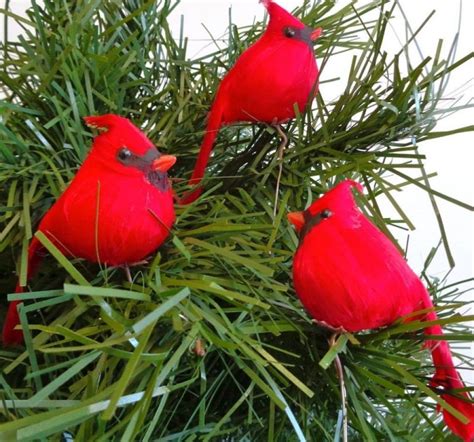 Cardinal Birds for Christmas Tree Ornaments | Christmas