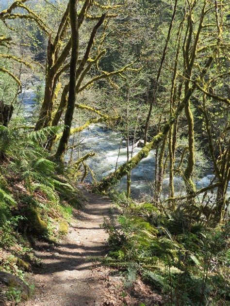 Horseshoe Bend Trail. A beautiful hike along the Nooksack River in ...