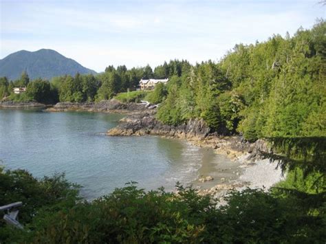 View of Duffin cove from B&B - Picture of The Tides Inn on Duffin Cove ...