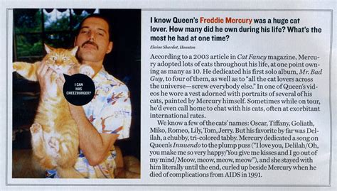 If I Was A Rich Girl: Freddie Mercury, Cat Lover!