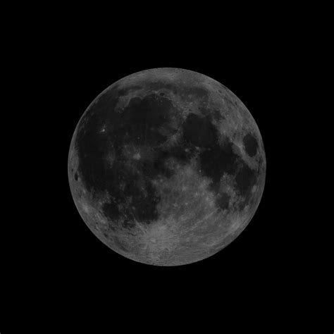 New Moon June 2024 - Hanni Petronia