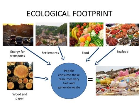 ecological footprint - DriverLayer Search Engine