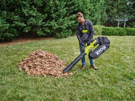 Best Cordless Leaf Blower Reviews 2024 - PTR