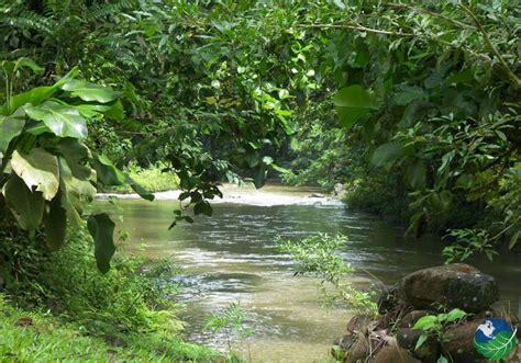 Sarapiqui Costa Rica - Explore this Distant River Destination