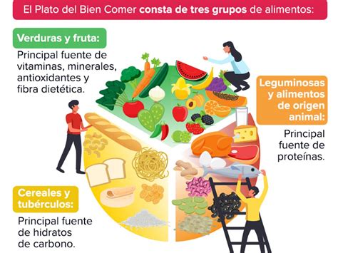 Alimentos Que Integran El Plato Del Buen Comer Bankfeal | Porn Sex Picture